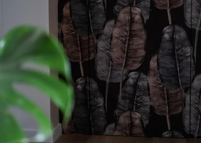 Sunyata Shala Apartamento